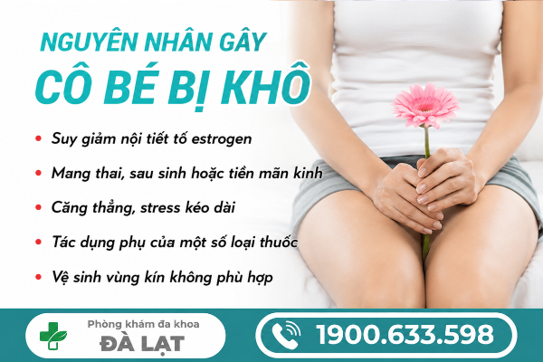 Hình ảnh minh họa